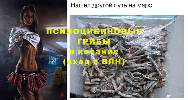 гашик Волосово